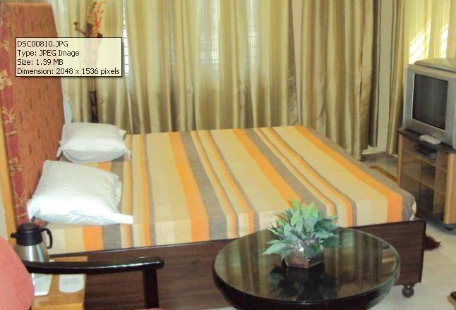 Hotel Blue Skies, Jaipur 3